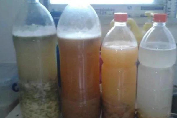 rice washing water