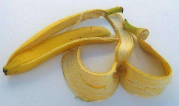 grapefruit grapefruit