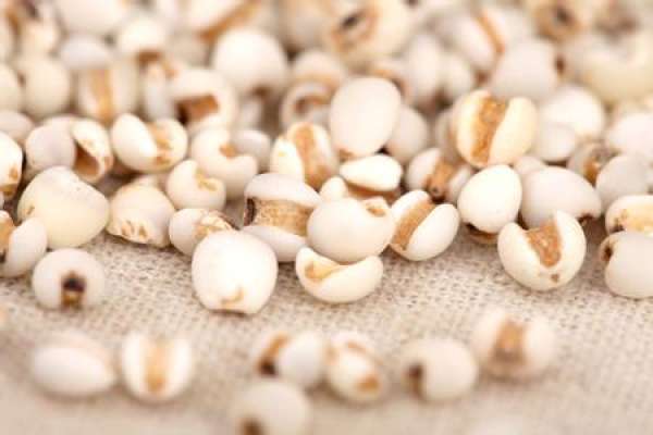 Coix seed