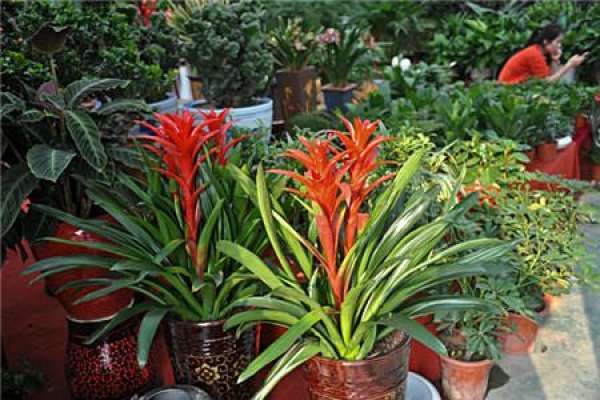 It is a metaphor for a great fortune.