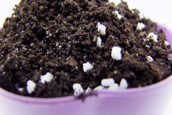 Soil