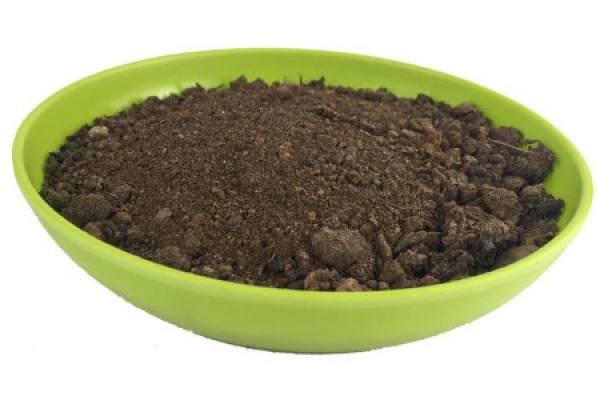 soil