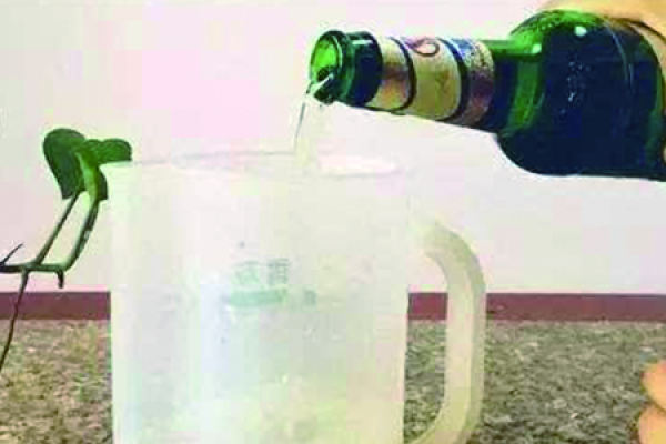 Beer