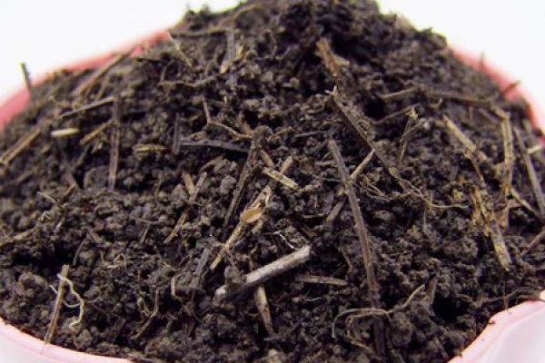 Soil