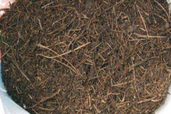 Pine needle soil