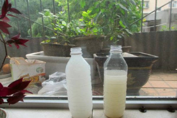 rice washing water