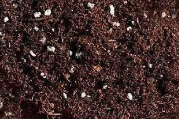 Soil
