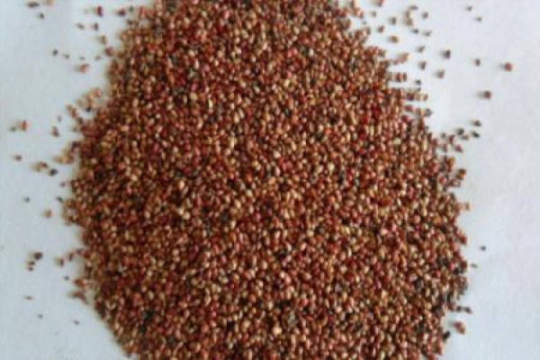 strawberry seeds