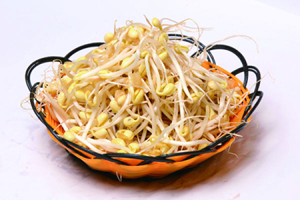 Soybean sprout