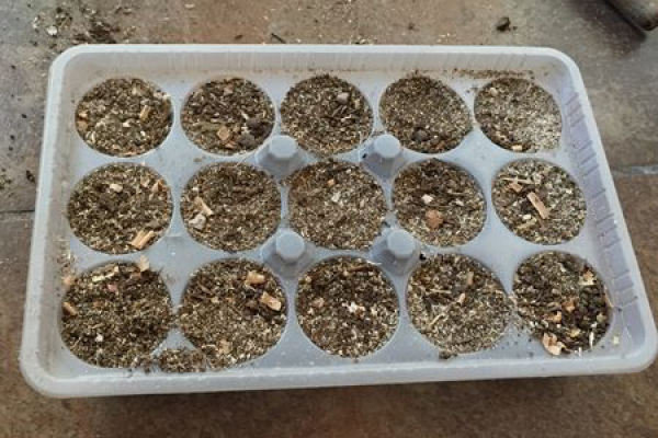 soil