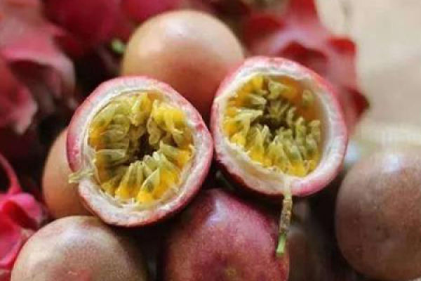 Passion Fruit