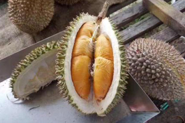 Durian