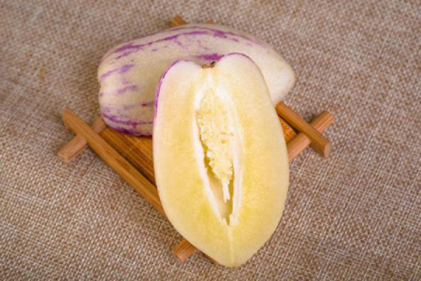 ginseng fruit