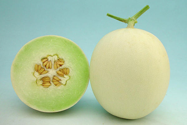 Muskmelon