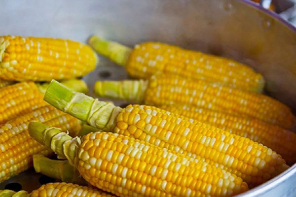 Corn