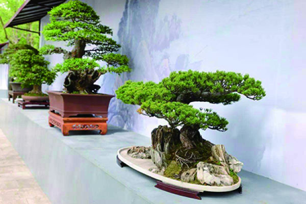 Potted landscape