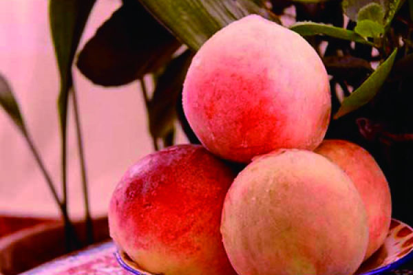 Honey Peach