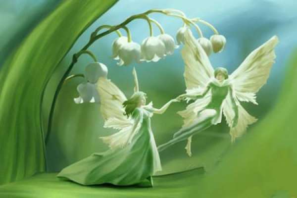 Convallaria