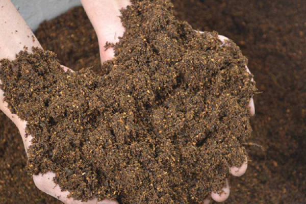 soil