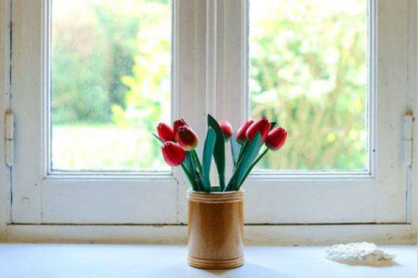 Tulip