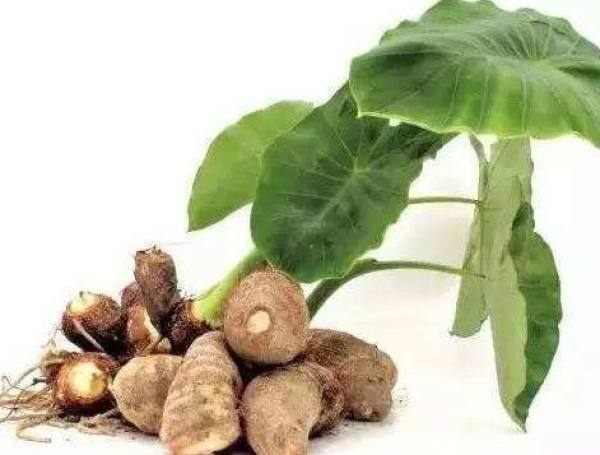 yam
