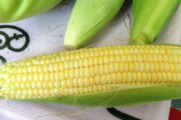 fruit corn