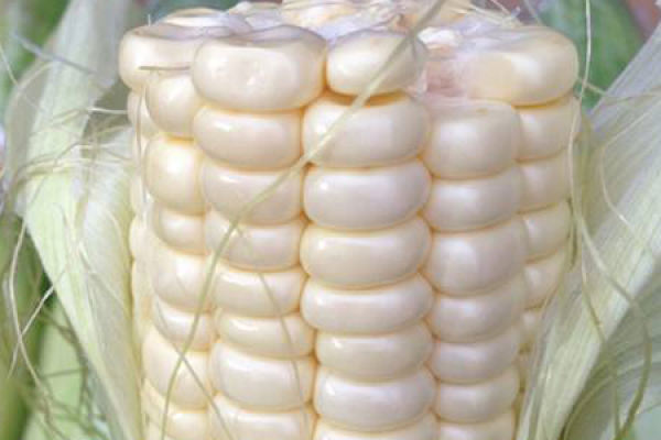 Fruit corn
