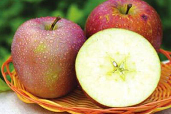 Ugly Apple