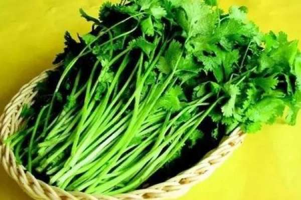 spinach