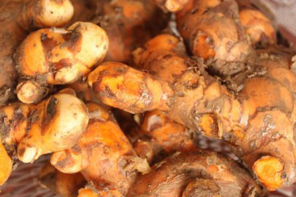 ginger