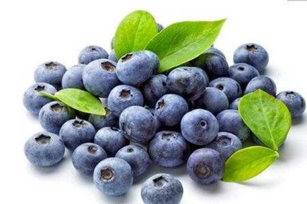 blueberry