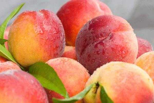 Peach