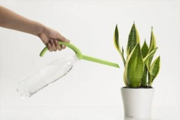 watering flowers