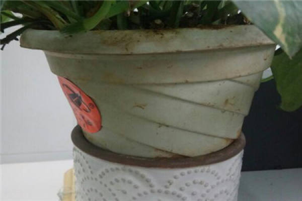 Cushion method