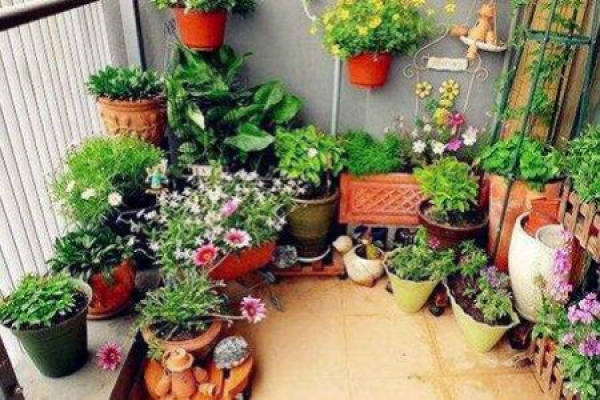 Plant