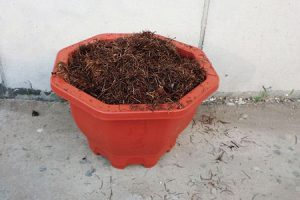 Soil