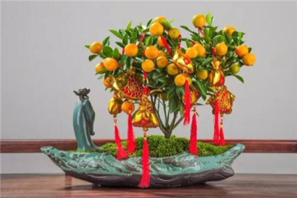Cumquat