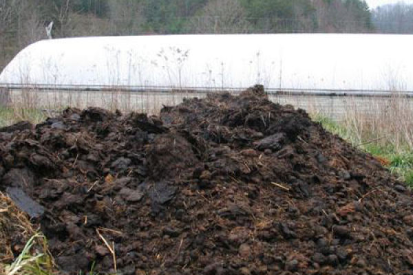 Fertilizer