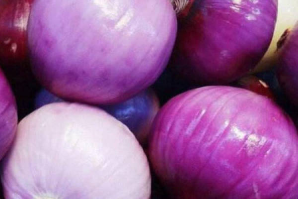 Onion