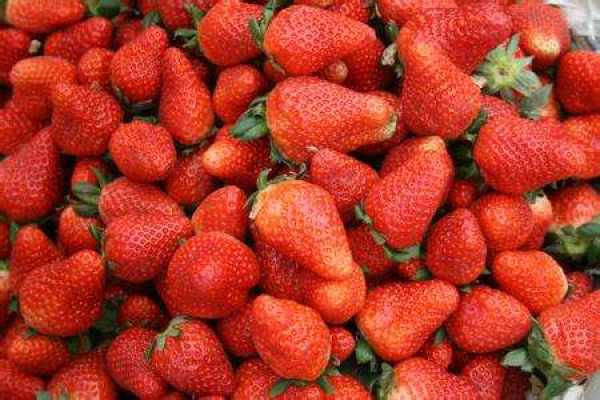 Strawberry
