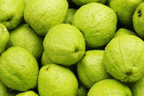 Guava