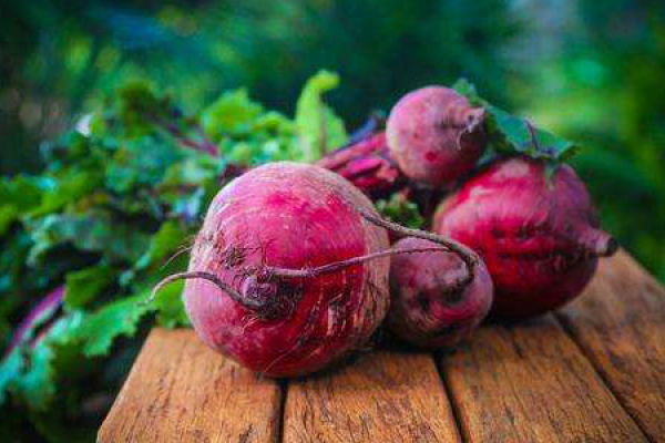 beet