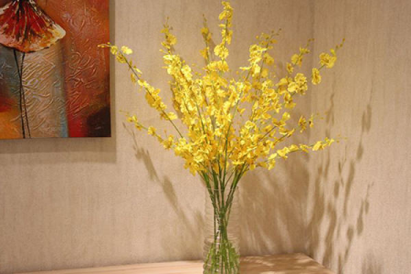 Dance Orchid