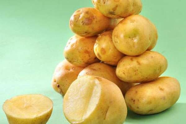 potato