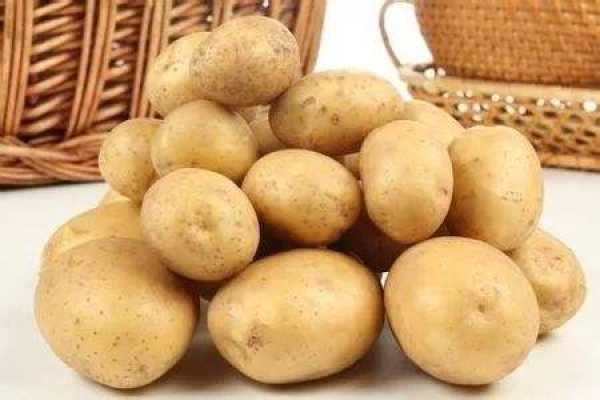 potato