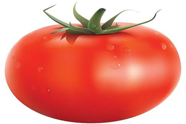 Tomato Tomato