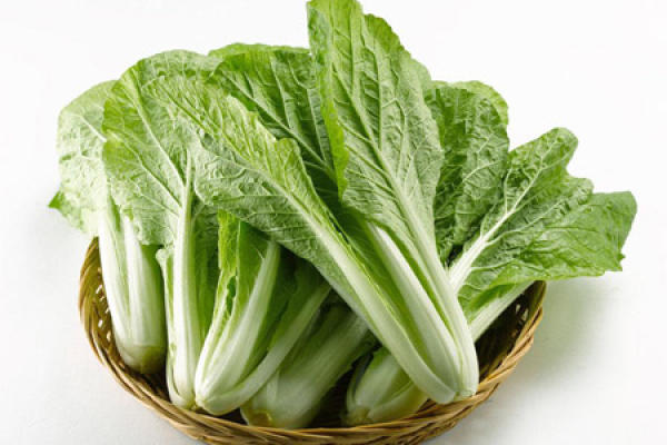 Chinese cabbage