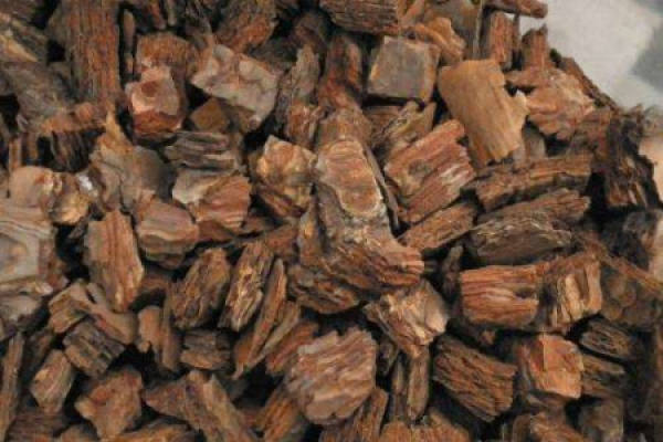 pine bark