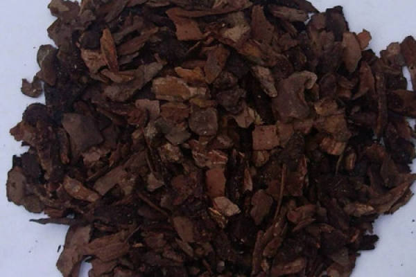 Pine Bark