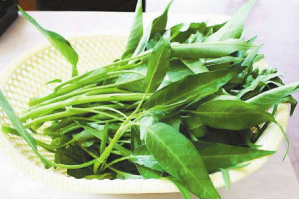 Water spinach